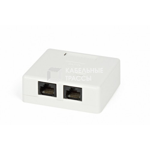 SB1-2-8P8C-C5e-SH-WH Розетка компьютерная RJ-45(8P8C), категория 5e, экранированная, двойная, внешняя, Dual IDC | 430233 | Hyperline