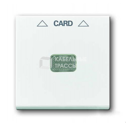 ABB Basic 55 Альп. белый Накладка карточного выключателя(мех. 2025U) | 1710-0-3864 | 2CKA001710A3864 | ABB