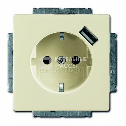 Розетка Schuko с устройством зарядным USB, 20 EUCBUSB-82-500, Future слоновая кость(саванна), 16А, 700 мА, | 2011-0-6177 | 2CKA002011A6177 | ABB