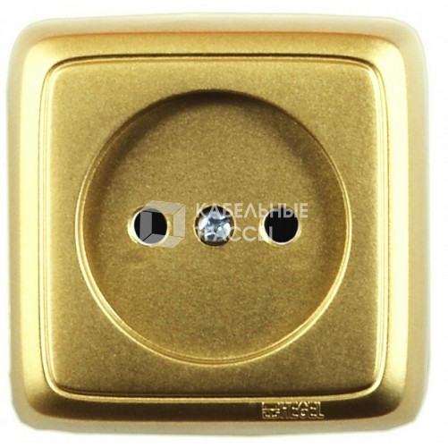 Розетка открытой установки, одноместная, с изолирующей пластиной, цвет золото | РА16-103-07 | HEGEL