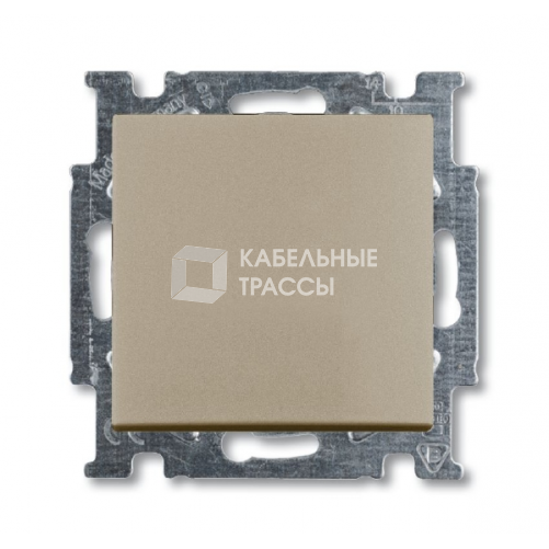 ABB Basic 55 Шампань Переключатель 1-клавишный | 1012-0-2169 | 2CKA001012A2169 | ABB