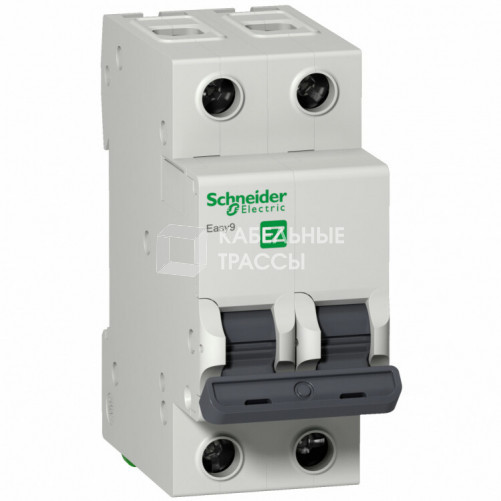 Выключатель автоматический двухполюсный EASY 9 63А C 4,5кА | EZ9F34263 | Schneider Electric