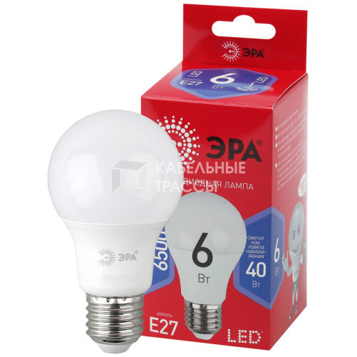 Лампа светодиодная ЭКО LED A60-6W-865-E27 R (диод, груша, 6Вт, хол, E27) | Б0045322 | ЭРА